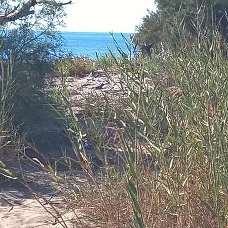 Maryhouse Sea * Katania